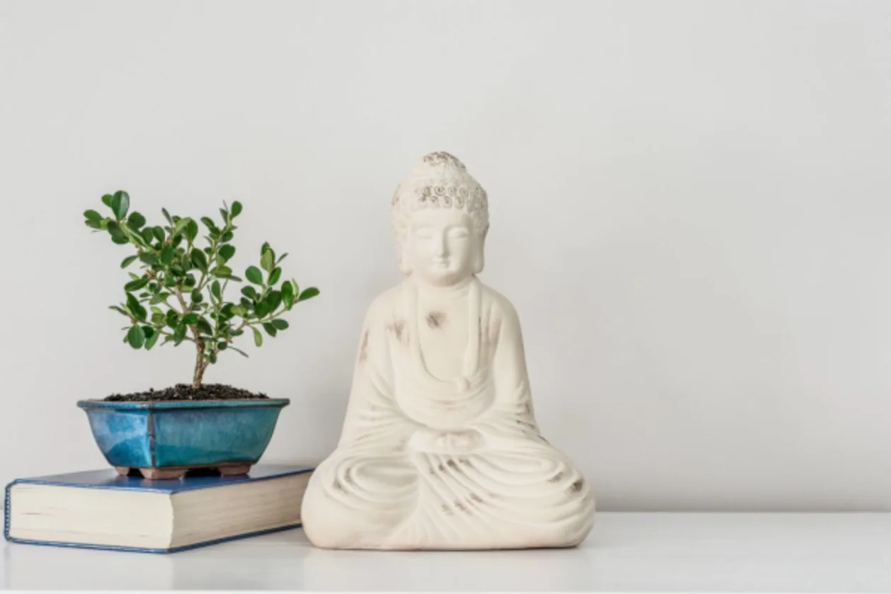 Buddha ornament with bonsai tree DIY wellness retreat at home concept